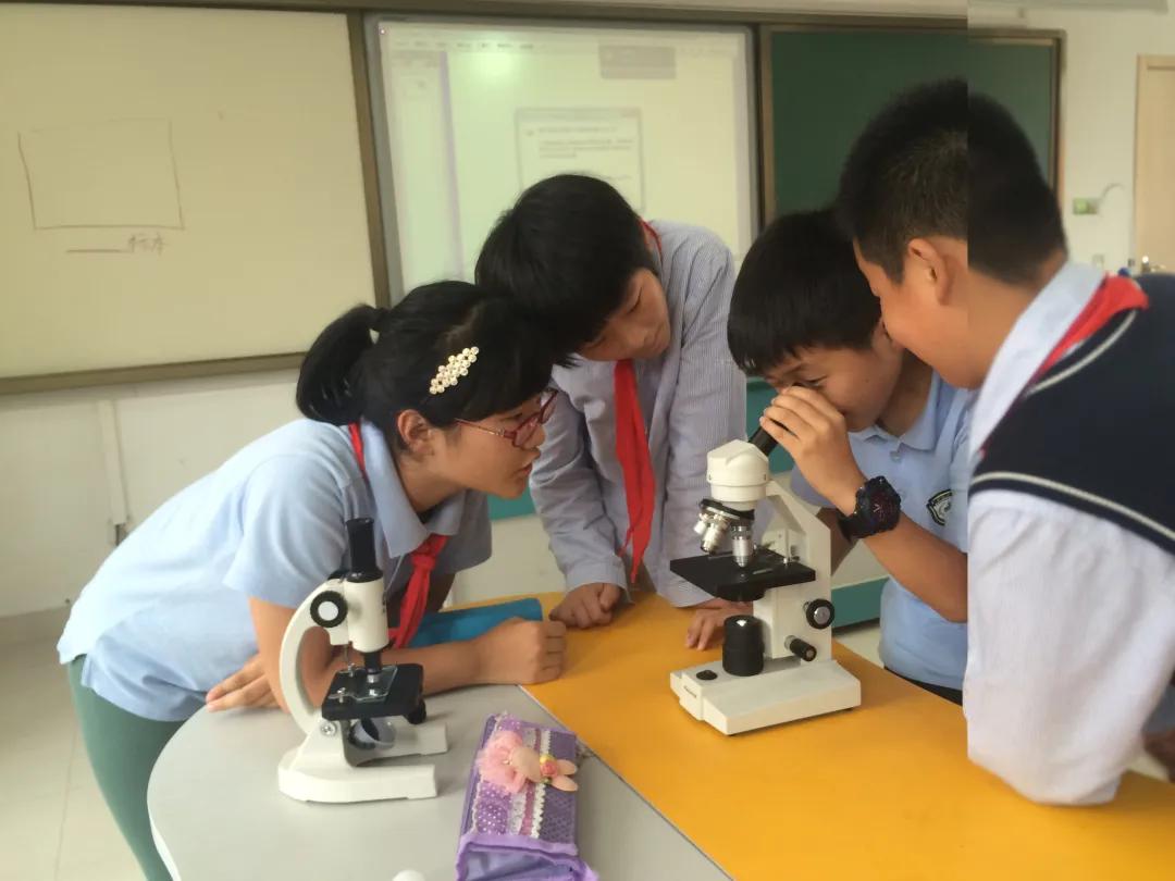 南京市金陵小学和园,南京市六合金陵小学