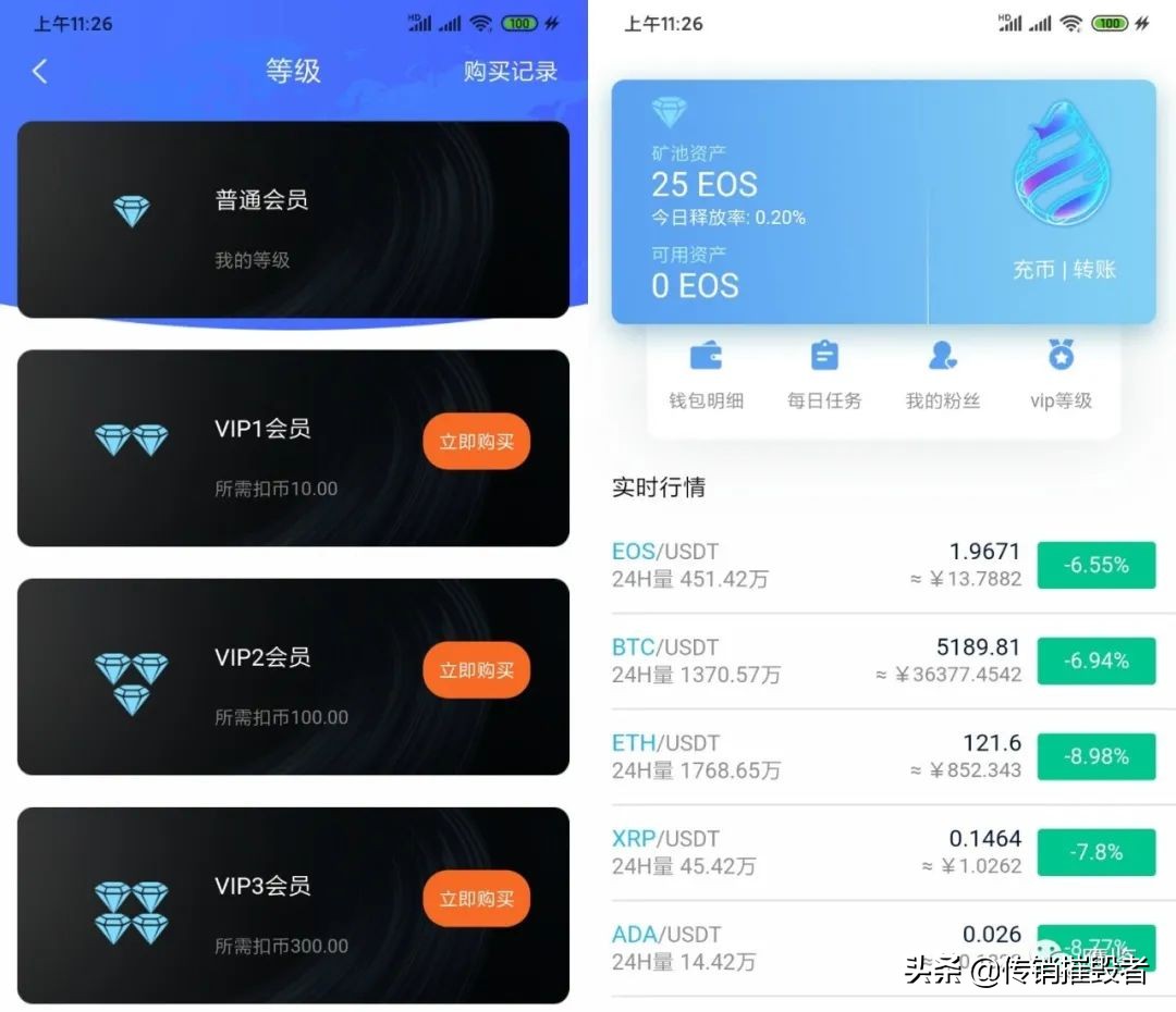 柚子币区块链被骗,柚子币传销案