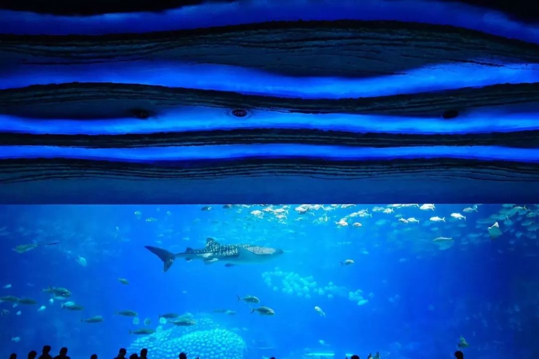 珠海哪里最值得去旅游,珠海哪里旅游比较值得去