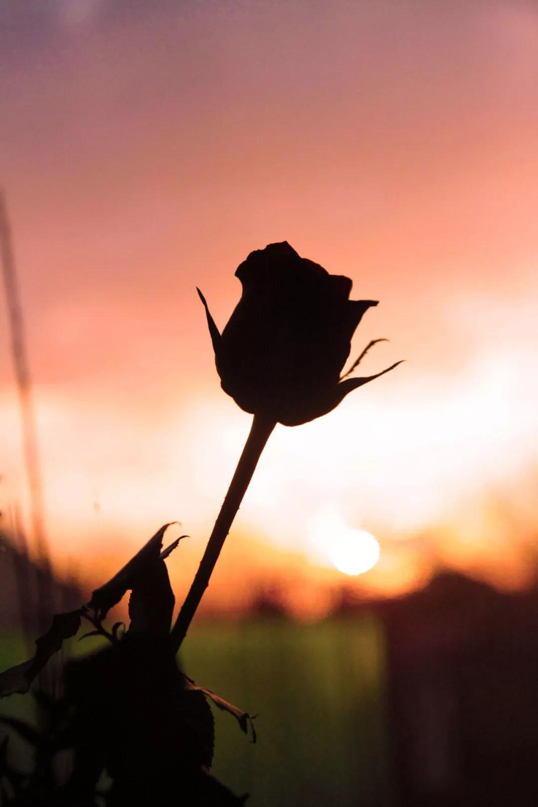 国际家庭日的发展历史,国际家庭日也叫世界家庭日吗