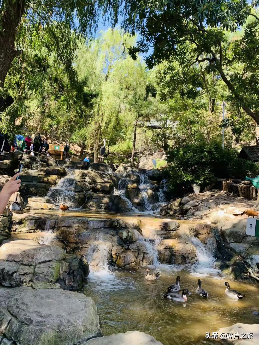 海滨城市大连旅游必备攻略,美丽的海滨城市大连星海广场