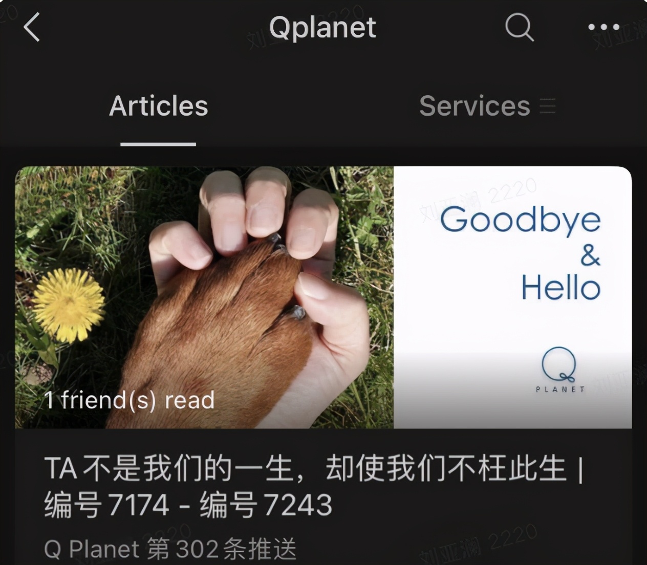 神秘的宠物殡葬暴利却少为人知,神秘的宠物殡葬