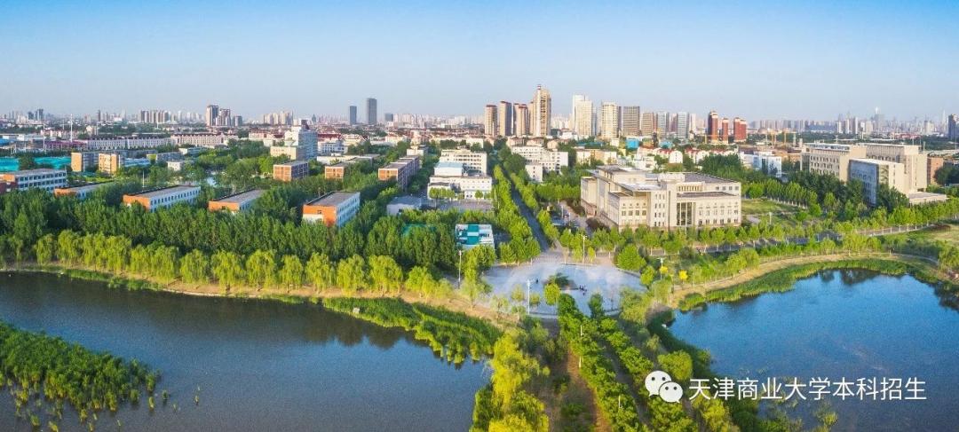 央视十大热门专业,央视热搜专业排名