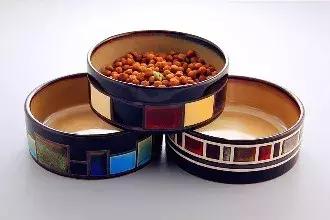 新手养猫养什么猫又便宜又好养,新手养猫第一天猫咪害怕怎么办