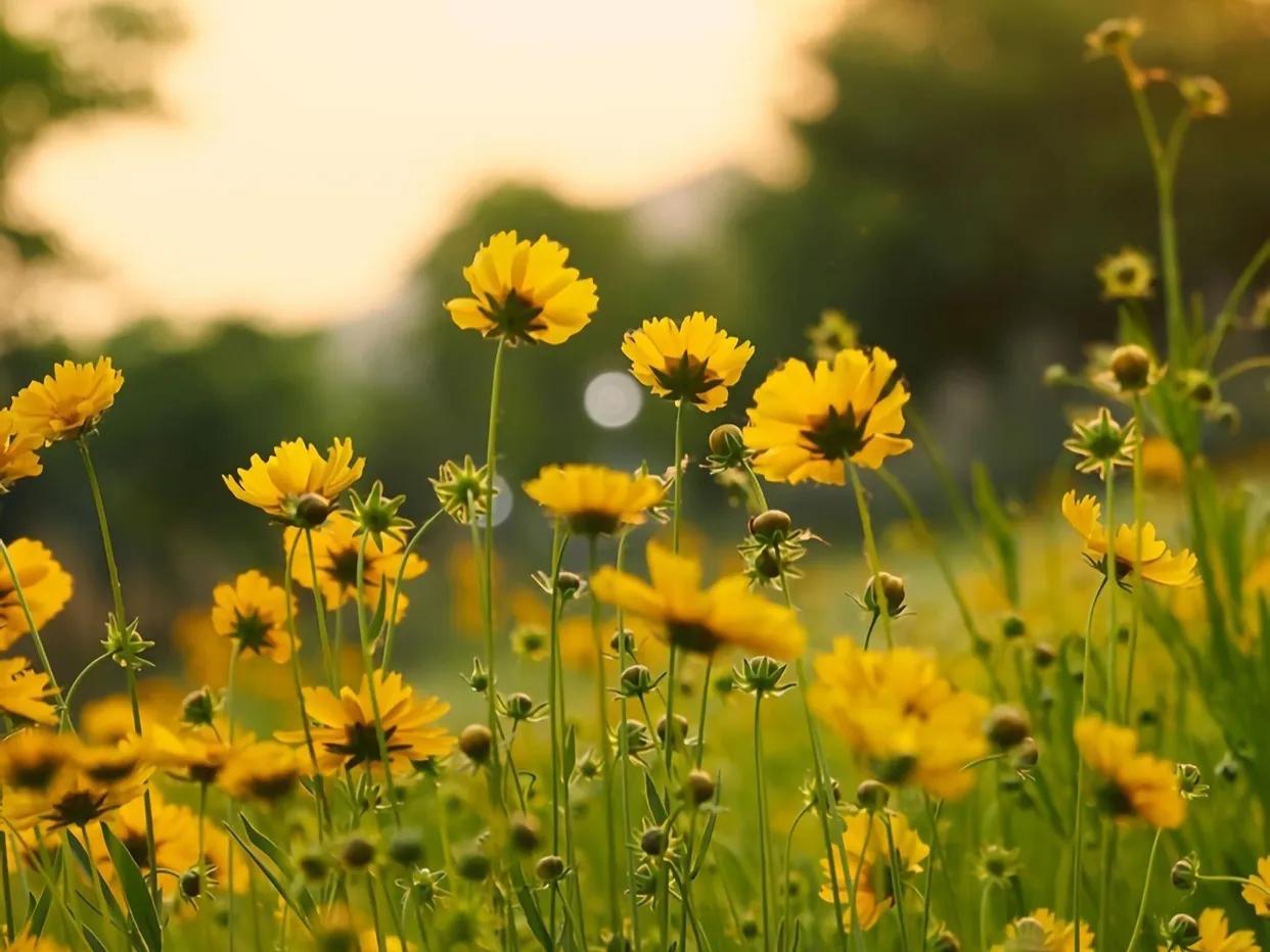 人生在世就是修行修自己,人生在世无非就是一场修行
