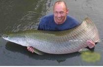 全国十大凶猛淡水鱼是什么,十大养不死的淡水鱼大型凶猛