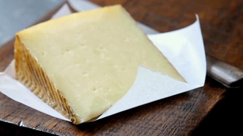 老鼠爱吃奶酪是真的吗,老鼠真的吃奶酪吗