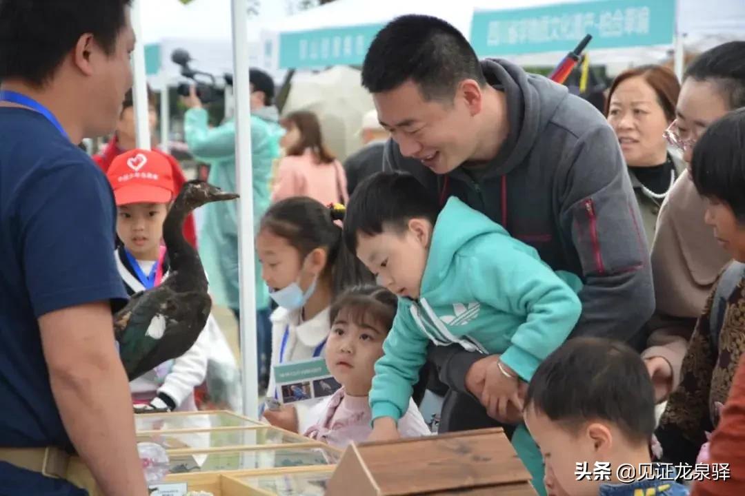 中国自然观察节,2019自然观察节