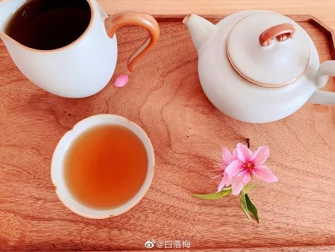 白落梅|仿佛三千年前的春天，正缓缓走来