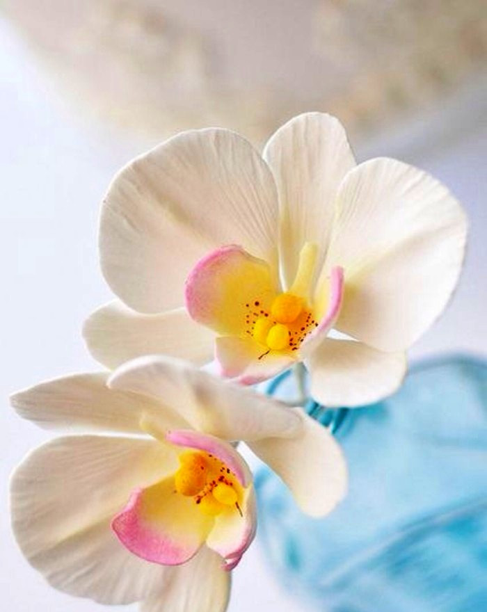 朋友圈说说大全简约又精致的句子,朋友圈说说精致的句子