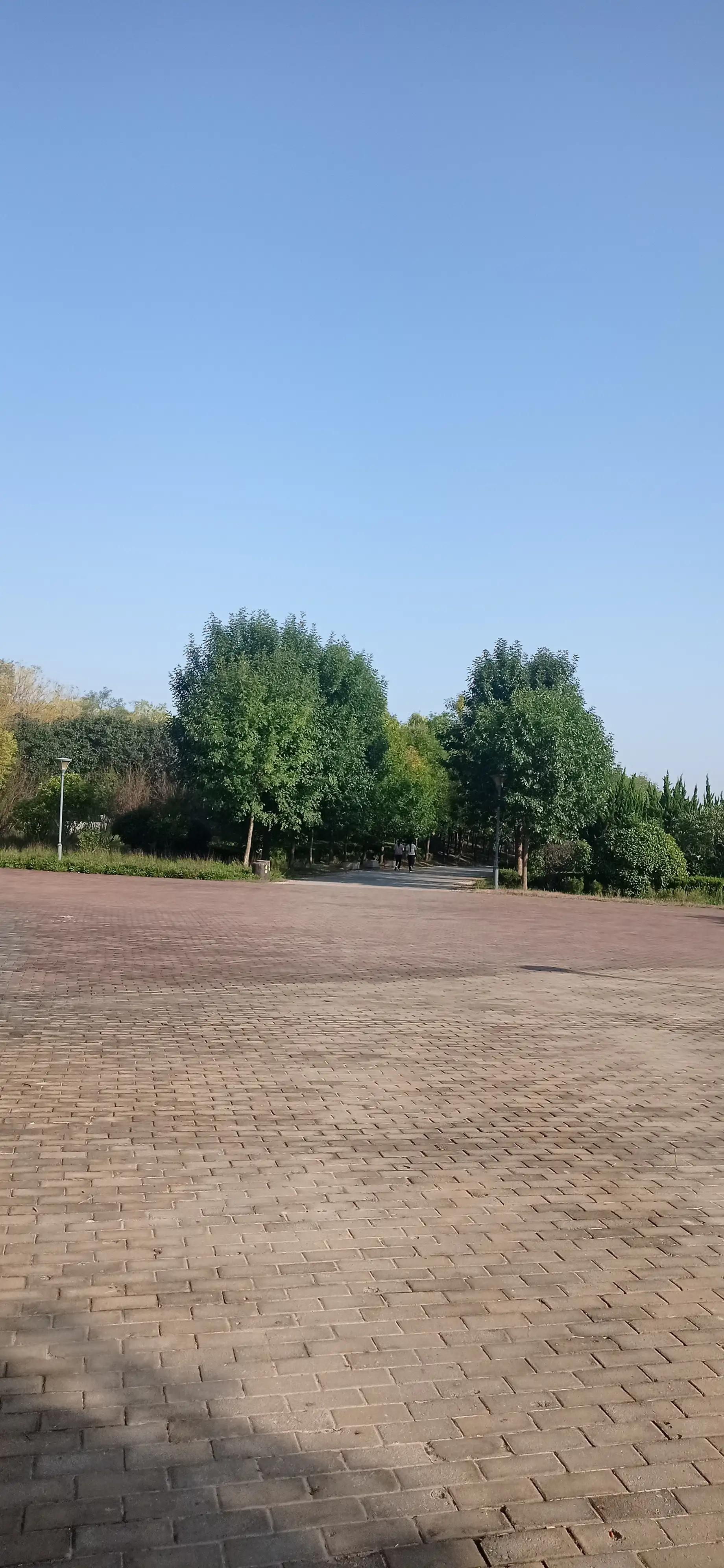 尿路结石间歇性血尿注意什么,出现血尿吃什么药