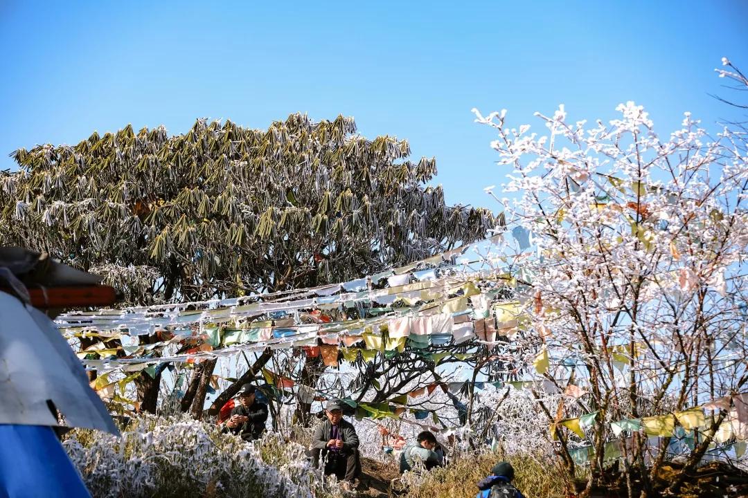 成都天台山景区自驾游攻略,成都天台山玩雪