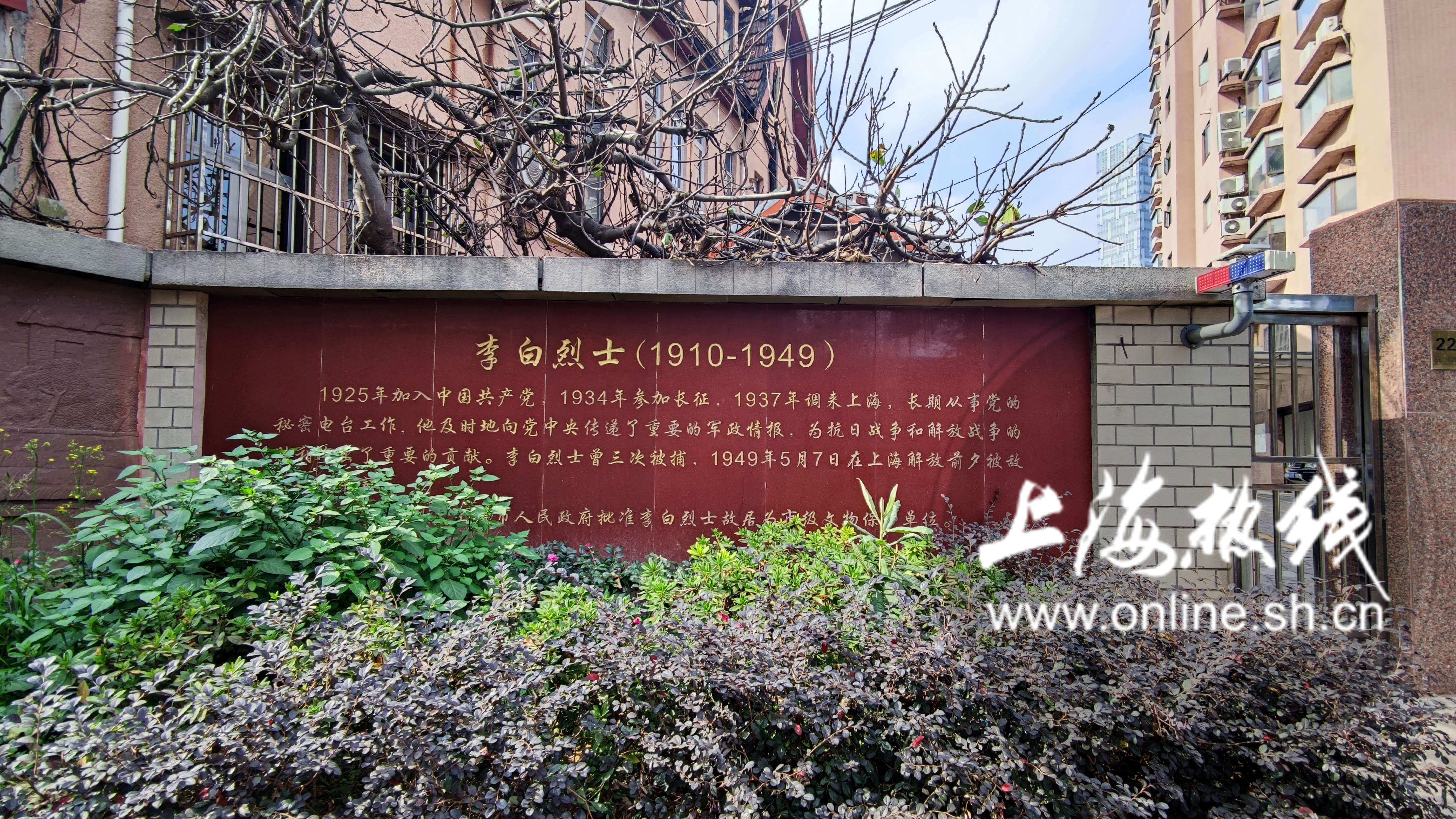 上海小众没人知道的景点,上海鲜有人知的打卡点