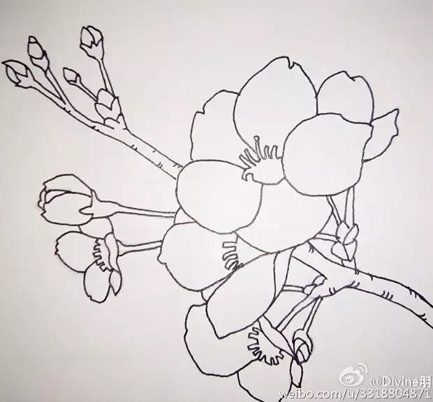 桃花简笔画：一步一步教你画桃花的教程，简单又好看，你想学吗？
