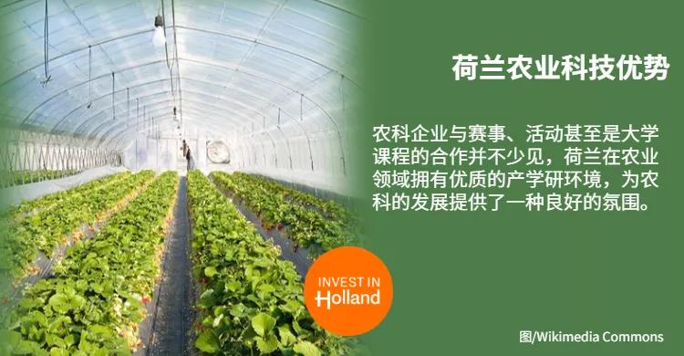 BSN分享丨中荷合璧“农科天团”：跨学科加持的荷兰农业炫技