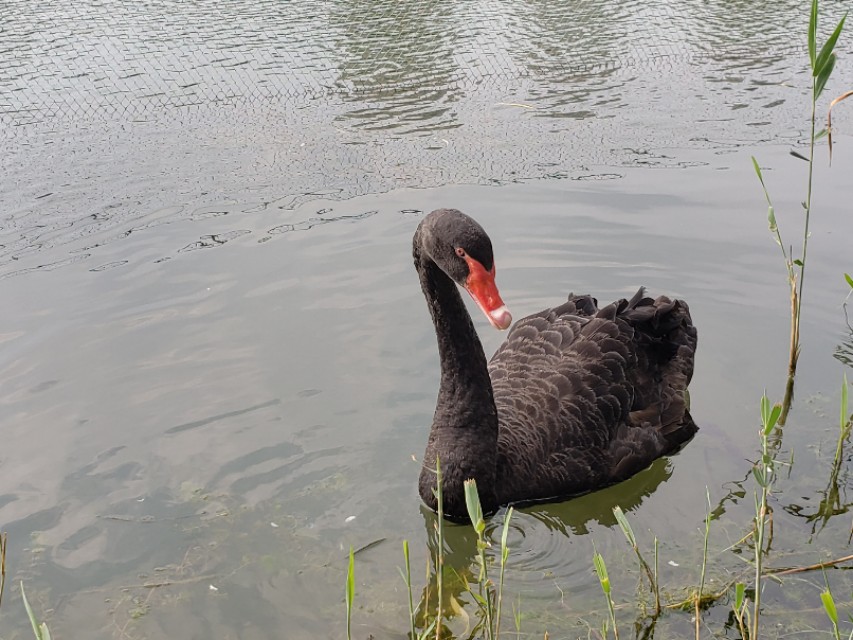 北京适合带娃遛狗的公园推荐,北京适合带娃溜达的公园
