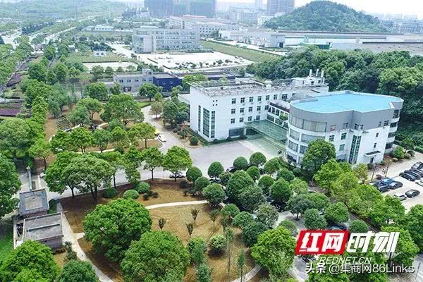 点绿成金党旗红,点绿成金以绿生金图片