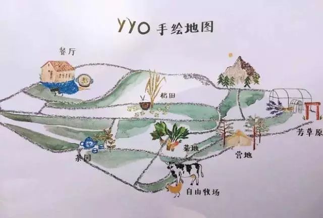 一个有机农场的商业探索