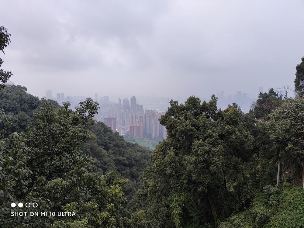 荣耀20prodxomark拍照排名,dxomark相机是什么