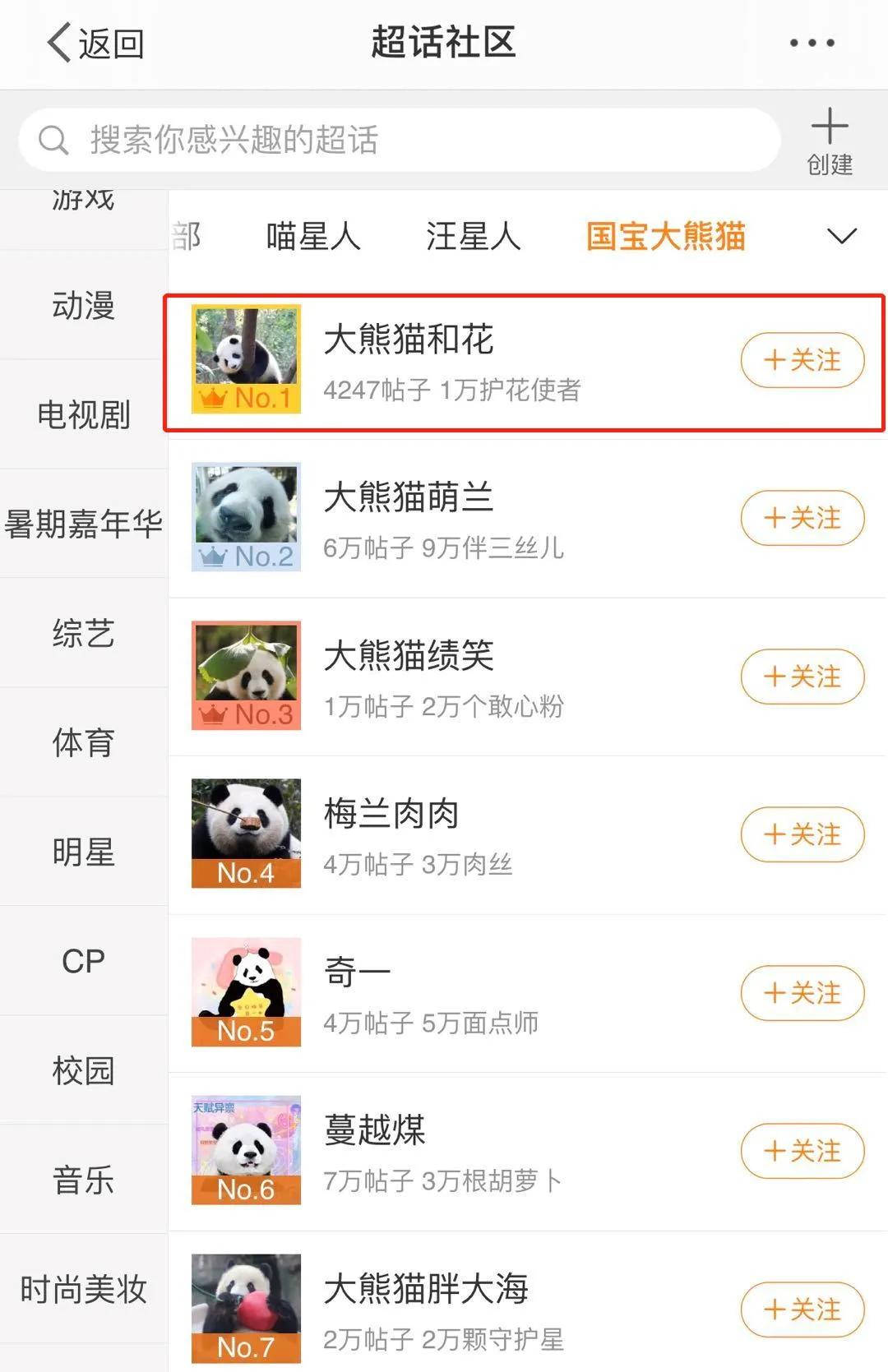 一只玩偶近2000元还被疯抢，“熊猫”内卷真的来了