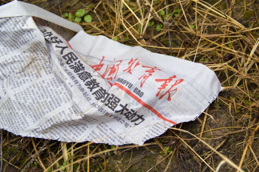 门窗比例不协调，门口出现的东西更不协调，秦岭这栋老房子有故事