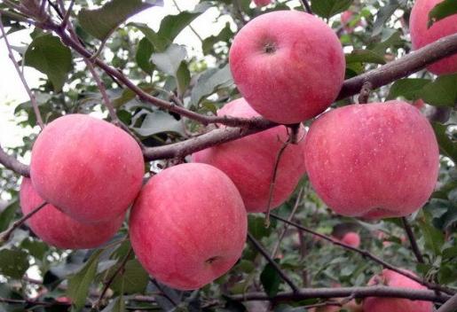 心理测试测老天是否眷顾你,测你最炫酷的心理测试