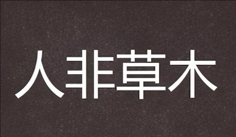 什么木什么什么的成语,第一个字是木的成语