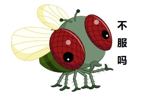 赶走苍蝇有什么生活小妙招,如何赶走苍蝇最有效的方法