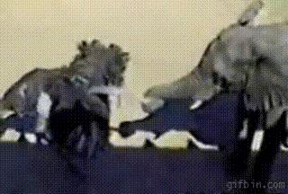 踢球踢不进去搞笑视频,射门不进搞笑视频