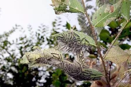 全民国家安全教育日保护公众健康,4.15全民国家安全教育日主题宣传