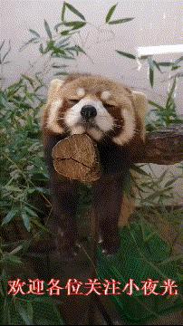 60部童年动画片看过一半真的老了,60部童年动漫