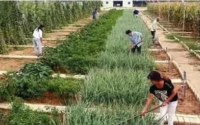 适合穷人的100个小创业项目生意,有哪些适合年轻人创业开店的项目