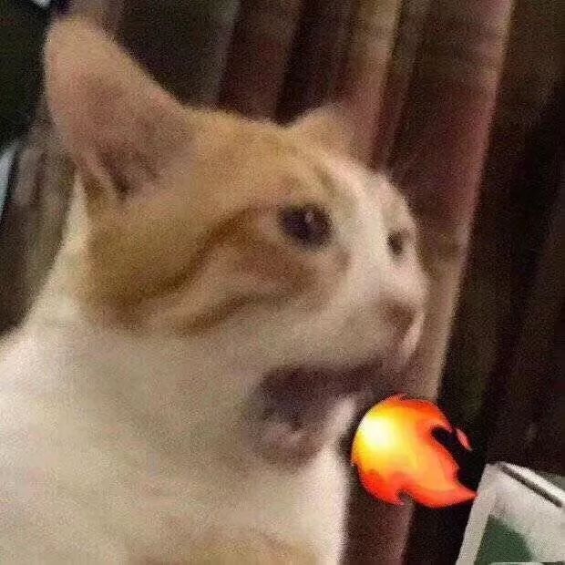 避雷的一万件网红产品,网上网红产品避雷