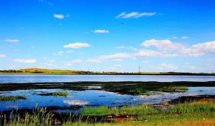 爱旅游的朋友注意了！天津周边藏着的10个草原，不玩一趟太亏