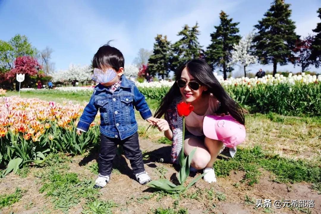 荷兰小镇郁金香盛开,荷兰小镇郁金香花海