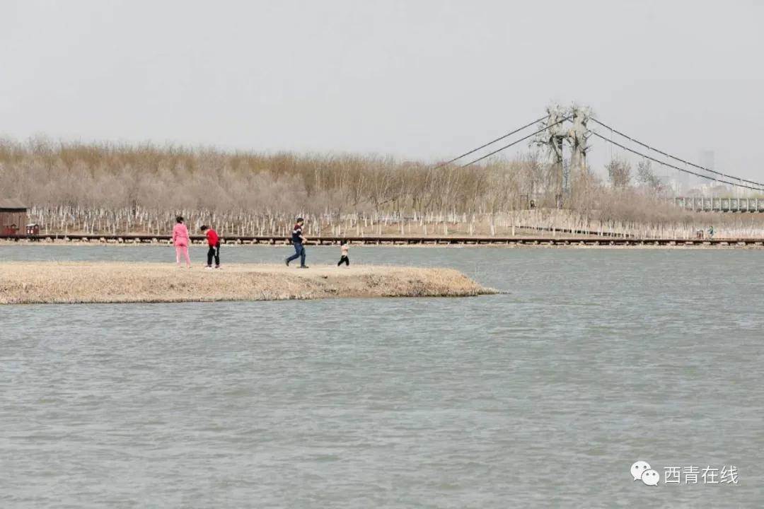 天津2022年四月开放的公园,期待天津这里将再添一片绿洲