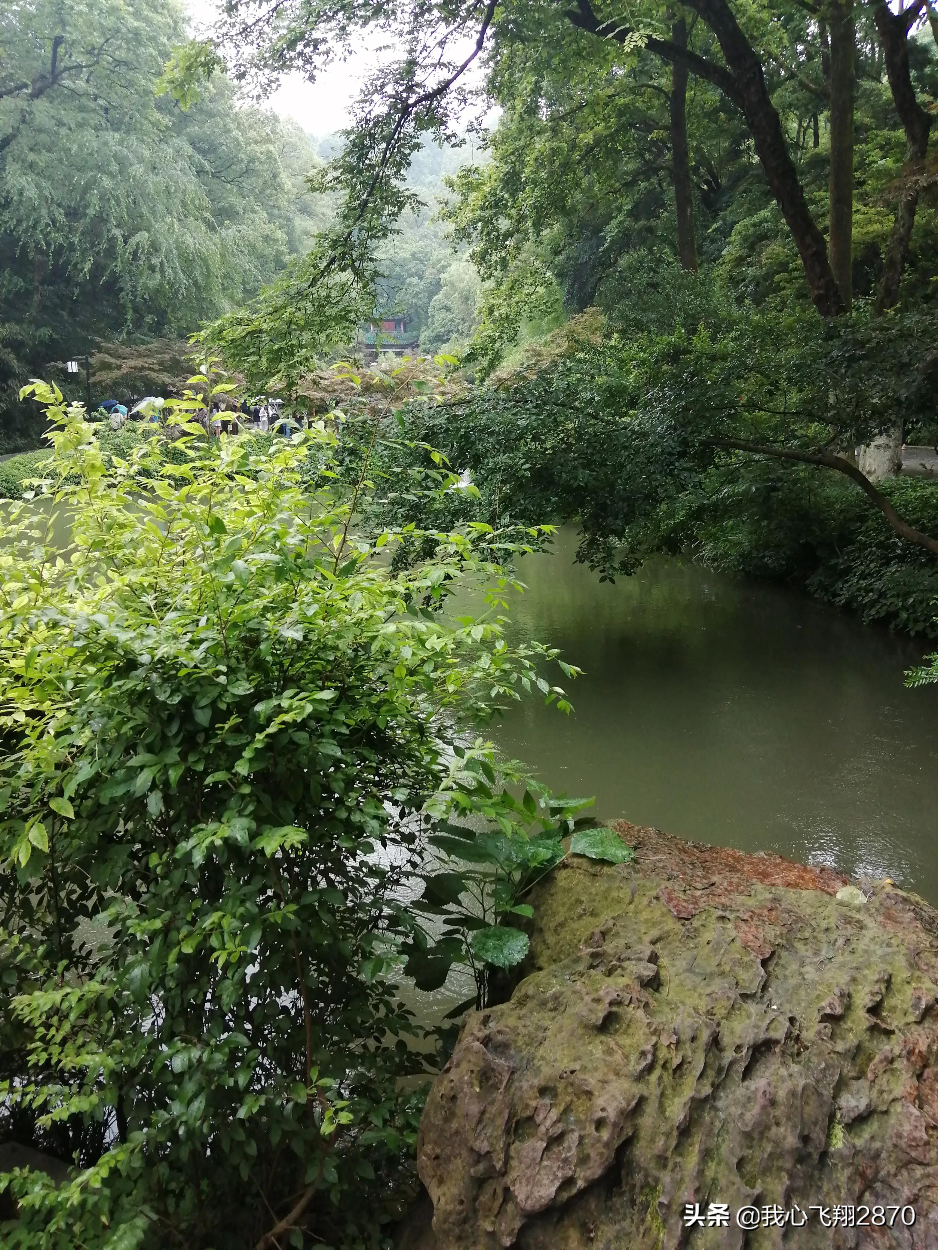 游爱晚亭阅读感想,林伯渠游爱晚亭