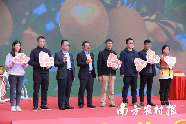 赣南脐橙故事生动视频,脐橙产业发展故事