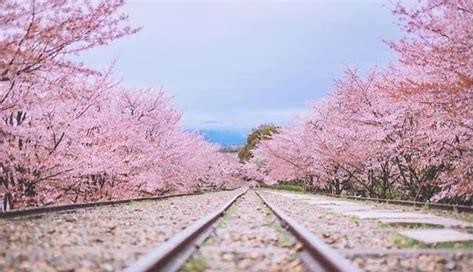 有一种牵挂叫思念,有一种牵挂叫故乡歌曲