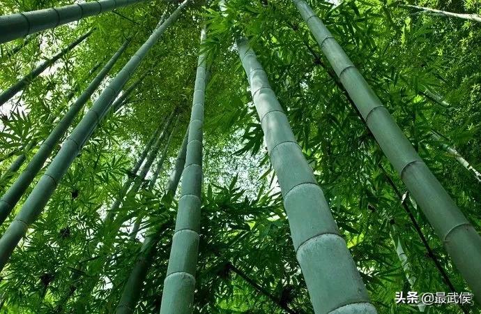 成都周边避暑一日游玩水古镇,成都周边免费避暑古镇地点推荐