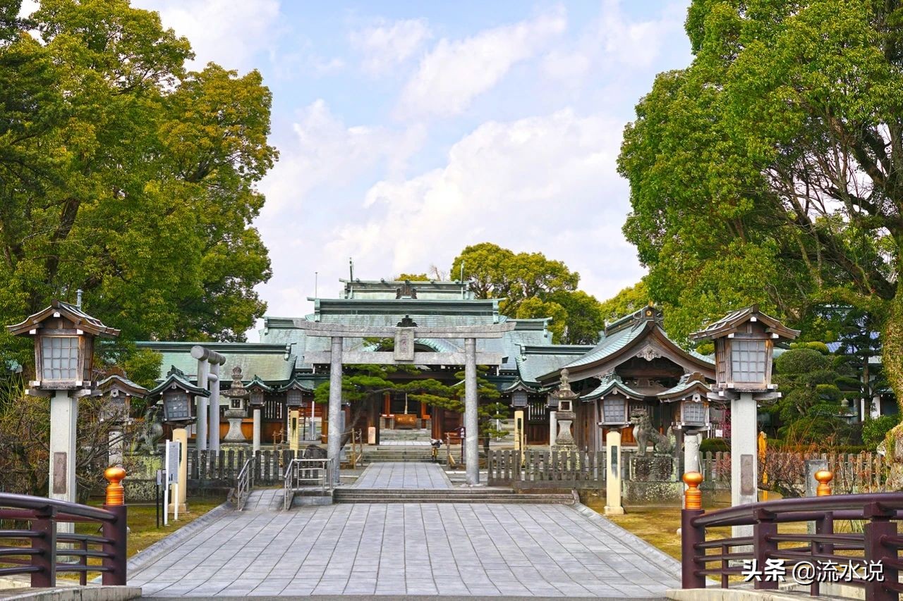 日本哪里的柚子好吃,日本北九州柚子