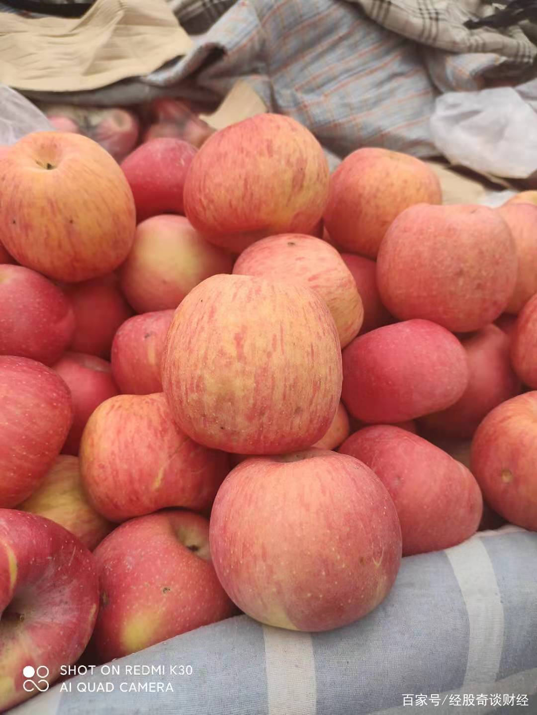 一分钟带你了解苹果期货,苹果期货最新操作建议