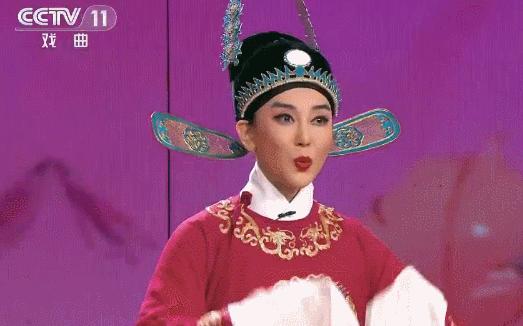 李红最真实的照片,李红被称为央视颜霸