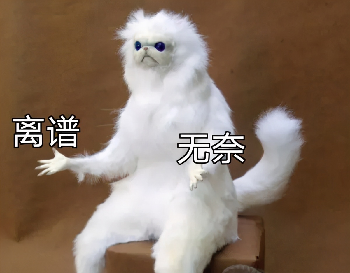 豆瓣9.5分的良心剧,豆瓣9.7分神剧果然不负期待