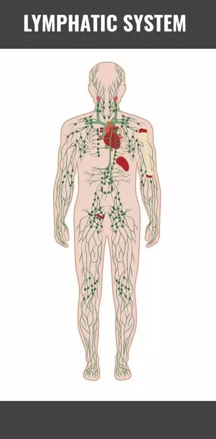 为什么经常生病的人反而活得长久,经常生病的人该怎么办