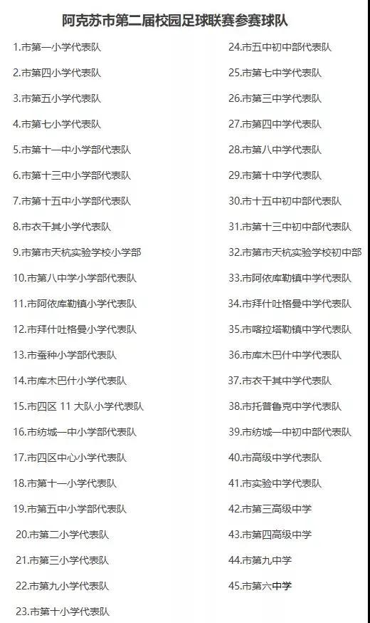 阿勒泰地区校园足球联赛2024,阿克苏地区2024年足球比赛小学