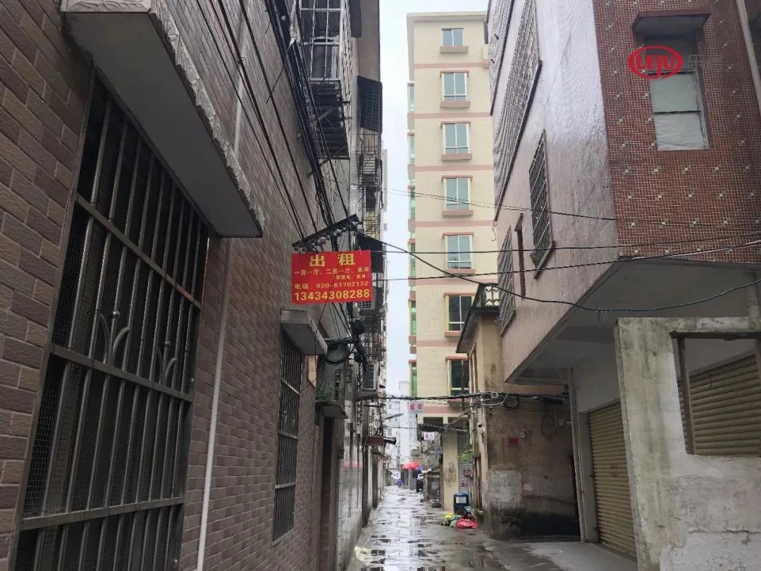 不当“小透明”？从化城郊村、团星村开启基础数据招标