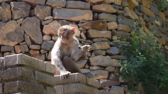 长治旅游集散中心旅游线路,长治通天峡旅游线路