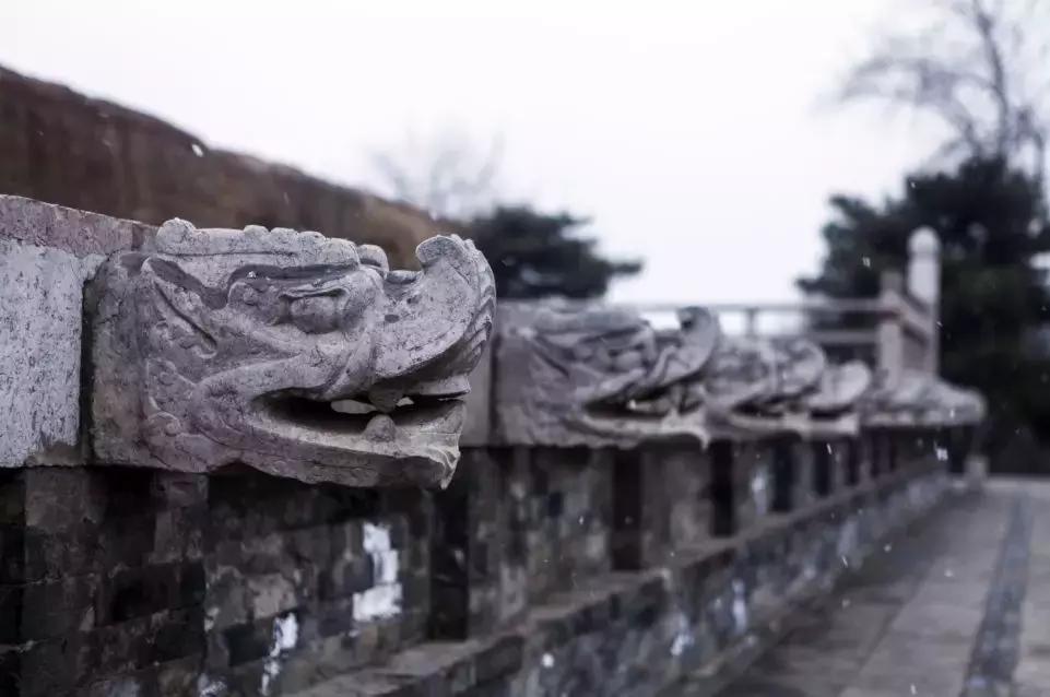 大明宫国家遗址公园5月份,大明宫遗址公园今天新闻