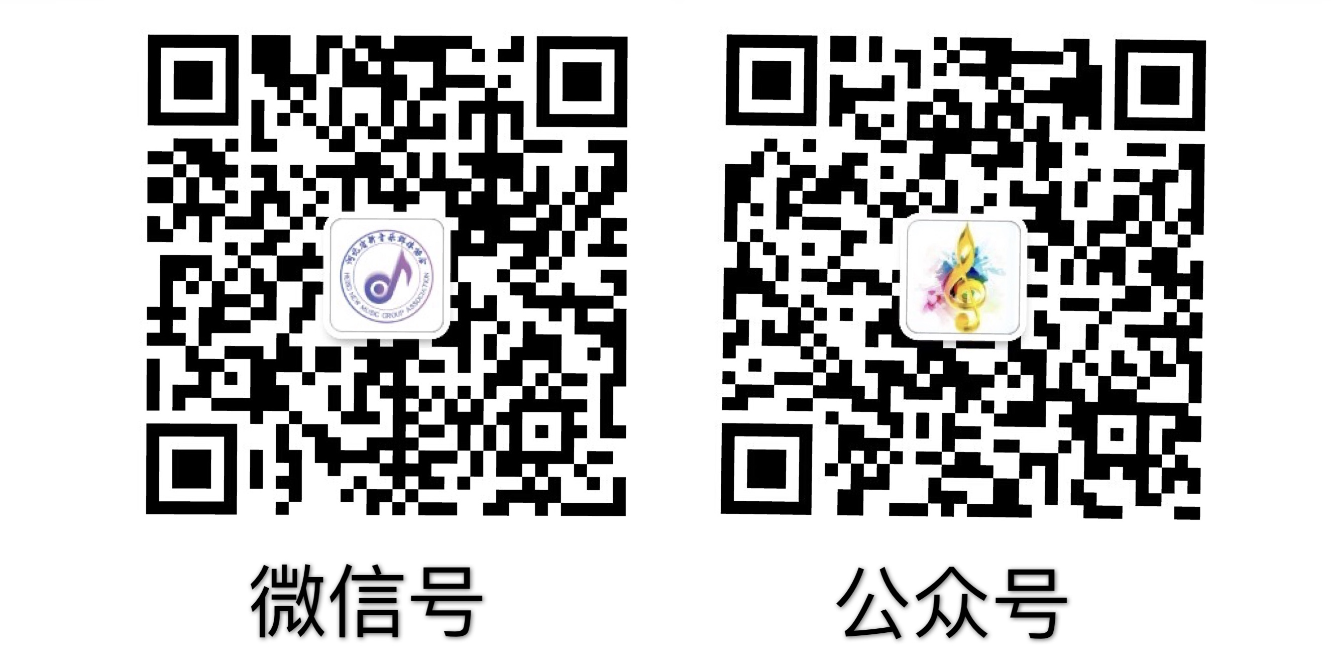 河北省音乐家协会新会员注册,河北省音乐家协会新一届